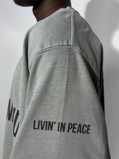 BONETTA WASHED GRAY